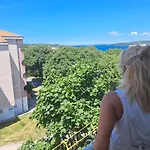Art Póla